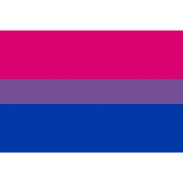 PRIDE - BRACELET DRAPEAU BISEXUEL 90 X 151