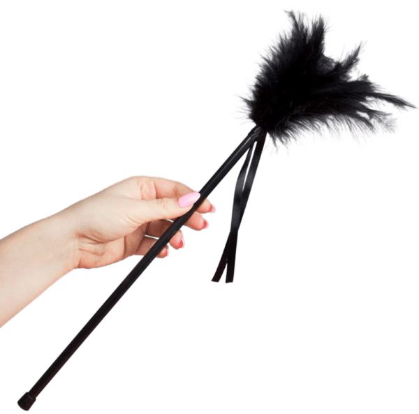 SECRETPLAY - PLUMES NOIRES 40 CM