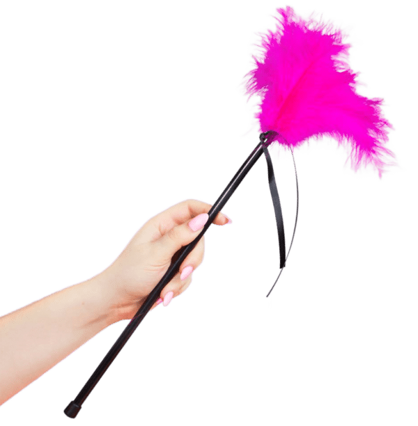 SECRETPLAY - PLUMES ROSE 40 CM