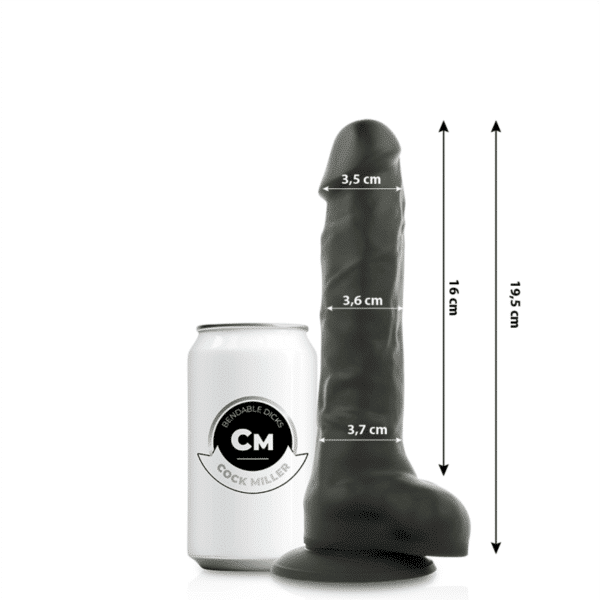 5 CM