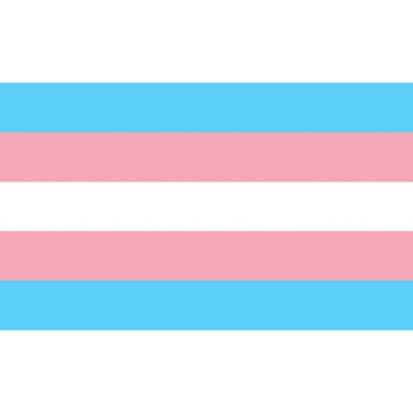 PRIDE - DRAPEAU TRANSEXUEL 90 X 151